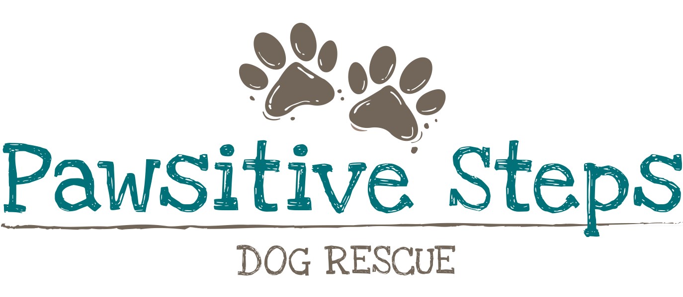 Pawsitive Steps Dog Rescue and Training Services